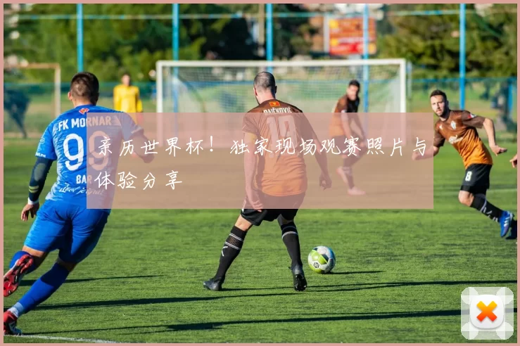 亲历世界杯！独家现场观赛照片与体验分享