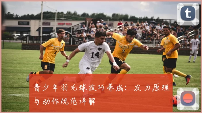 青少年羽毛球技巧养成:发力原理与动作规范详解