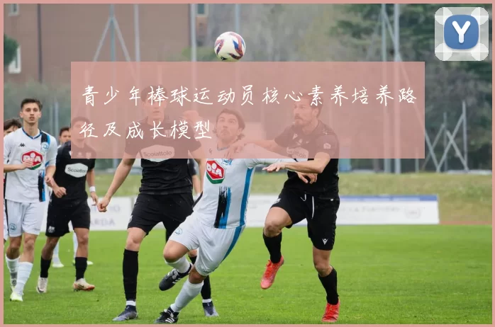 青少年棒球运动员核心素养培养路径及成长模型