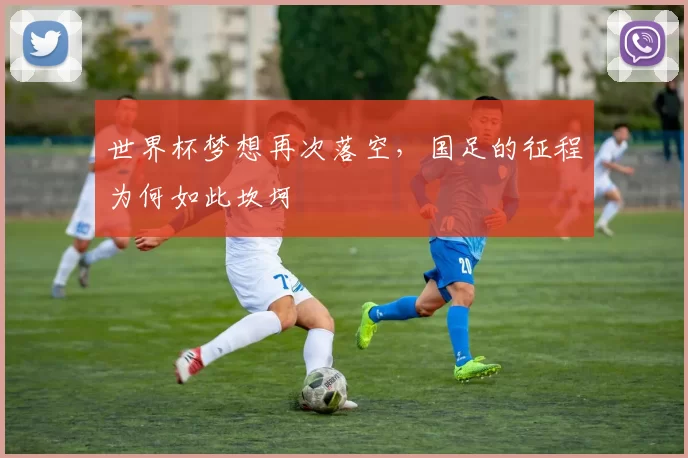 世界杯梦想再次落空，国足的征程为何如此坎坷