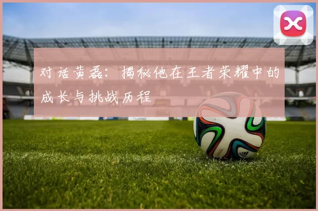 对话黄磊:揭秘他在王者荣耀中的成长与挑战历程