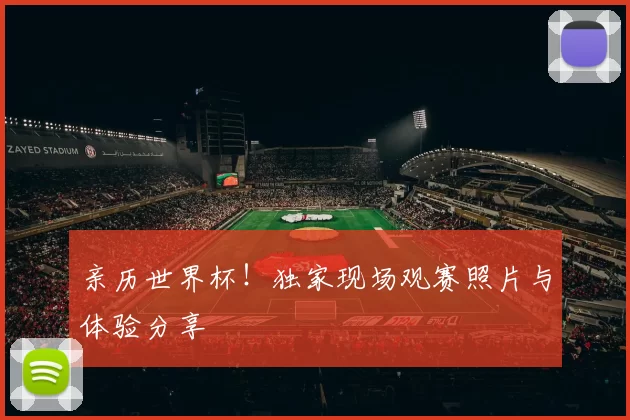 亲历世界杯！独家现场观赛照片与体验分享