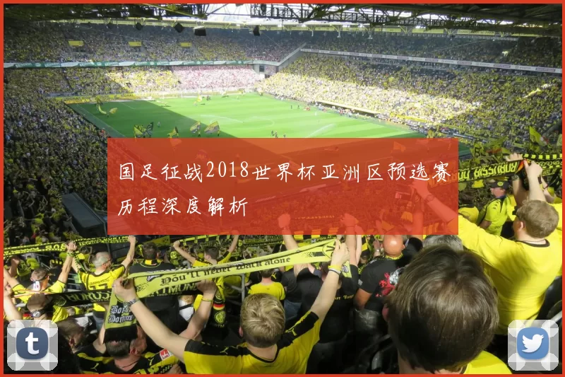国足征战2018世界杯亚洲区预选赛历程深度解析