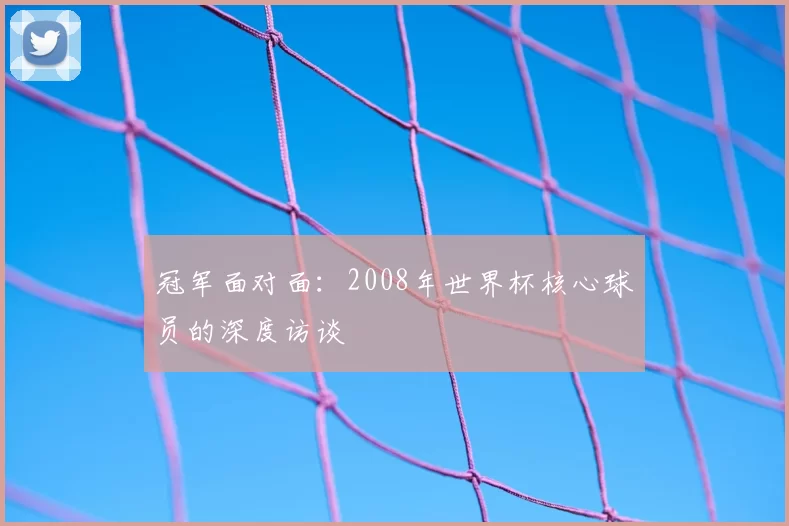 冠军面对面：2008年世界杯核心球员的深度访谈