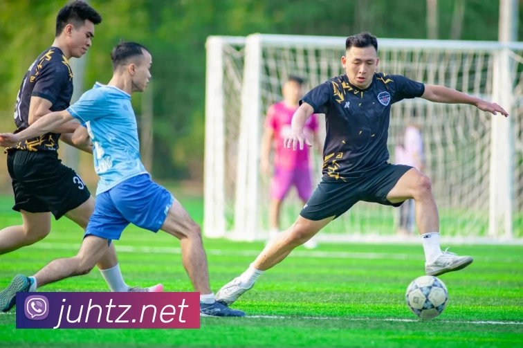 多媒体互动体验
